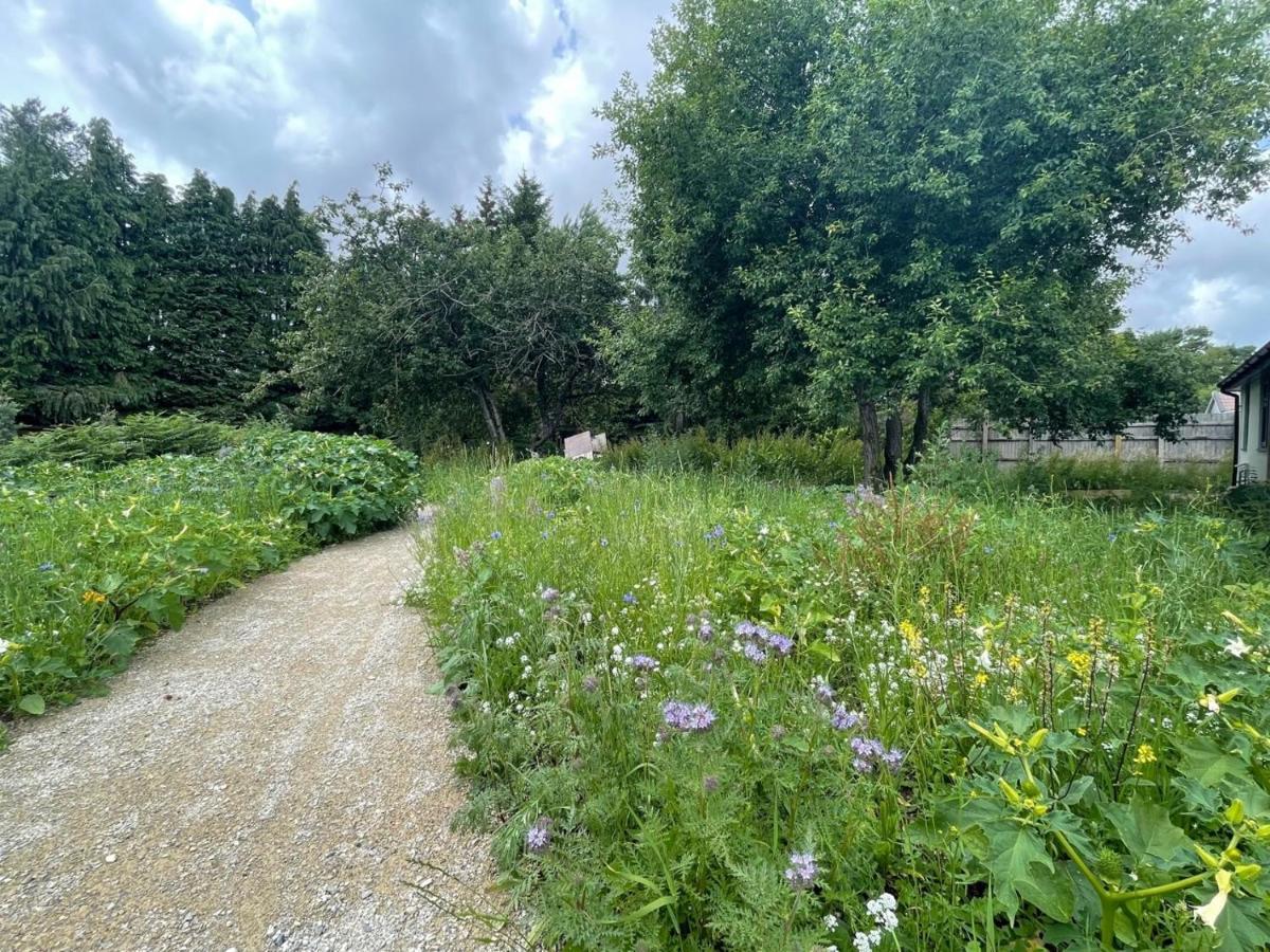 The Bearded Goat Den - A Rural Retreat At This Modern Holiday Cottage Saint Leonards 외부 사진