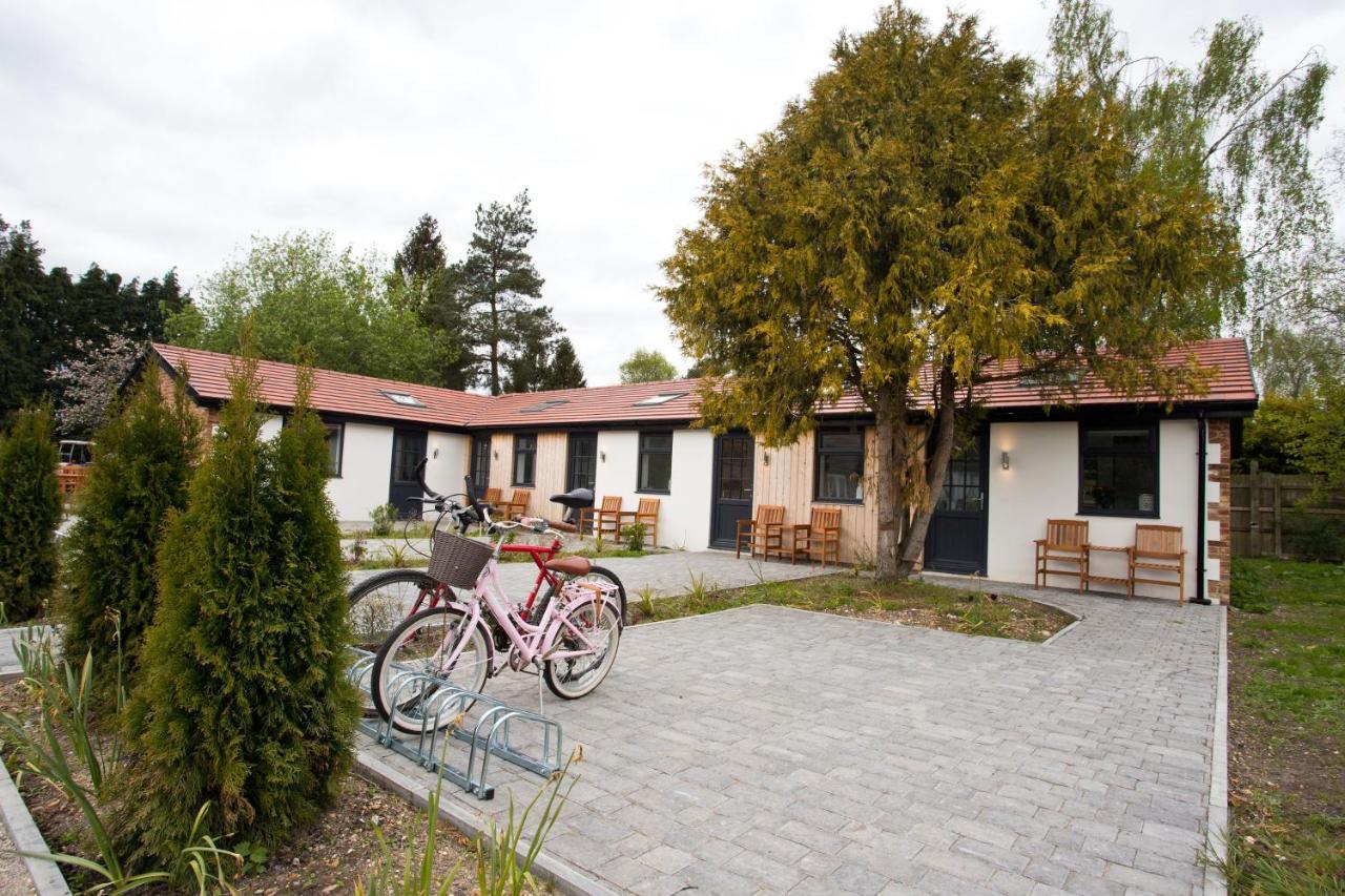 The Bearded Goat Den - A Rural Retreat At This Modern Holiday Cottage Saint Leonards 외부 사진