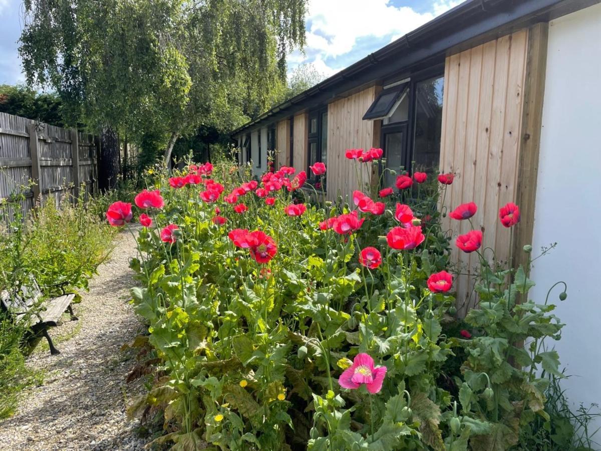 The Bearded Goat Den - A Rural Retreat At This Modern Holiday Cottage Saint Leonards 외부 사진